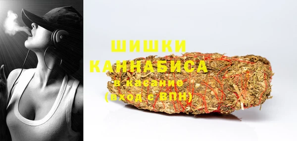 дмт Новозыбков