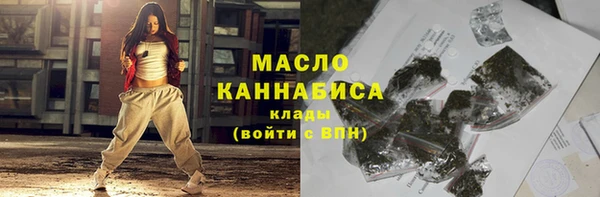 дмт Новозыбков