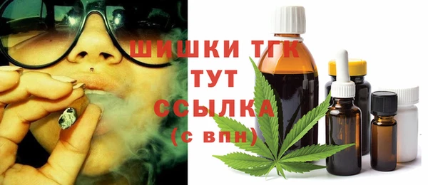 дмт Новозыбков