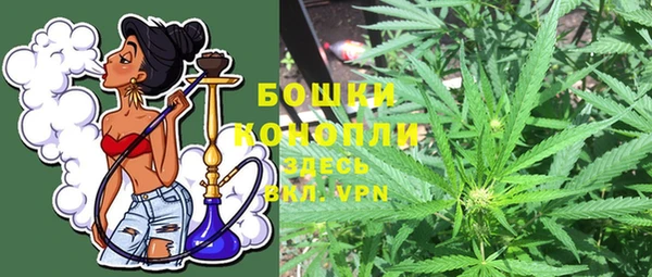 дмт Новозыбков