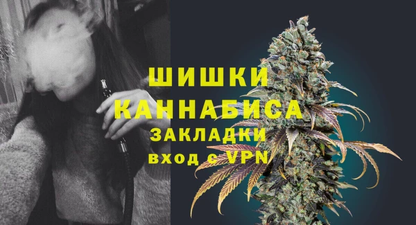 альфа пвп Новодвинск
