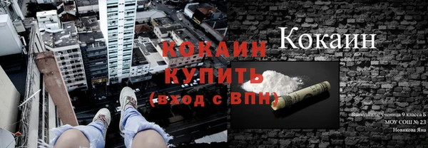 альфа пвп Новодвинск