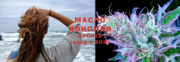 дмт Новозыбков
