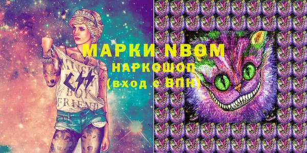 альфа пвп Новодвинск