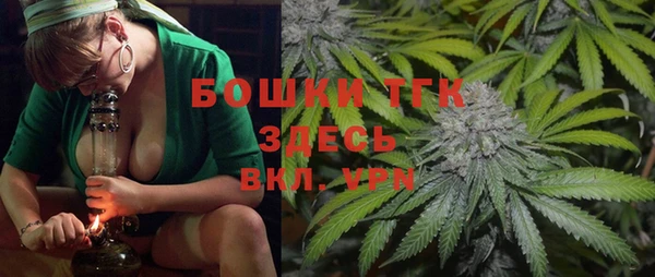 дмт Новозыбков